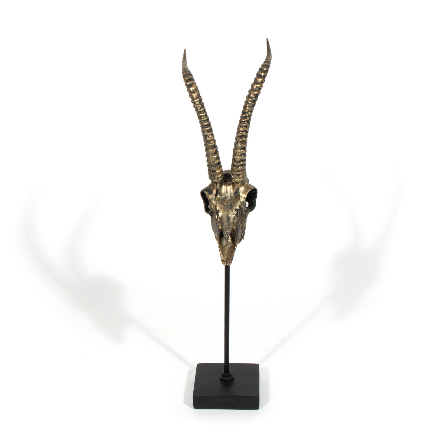 Scull Horn Decor Sculpture