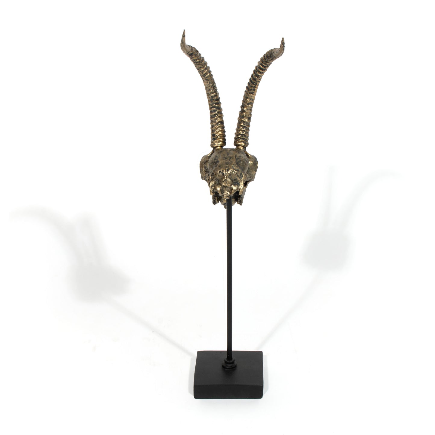 Scull Horn Decor Sculpture