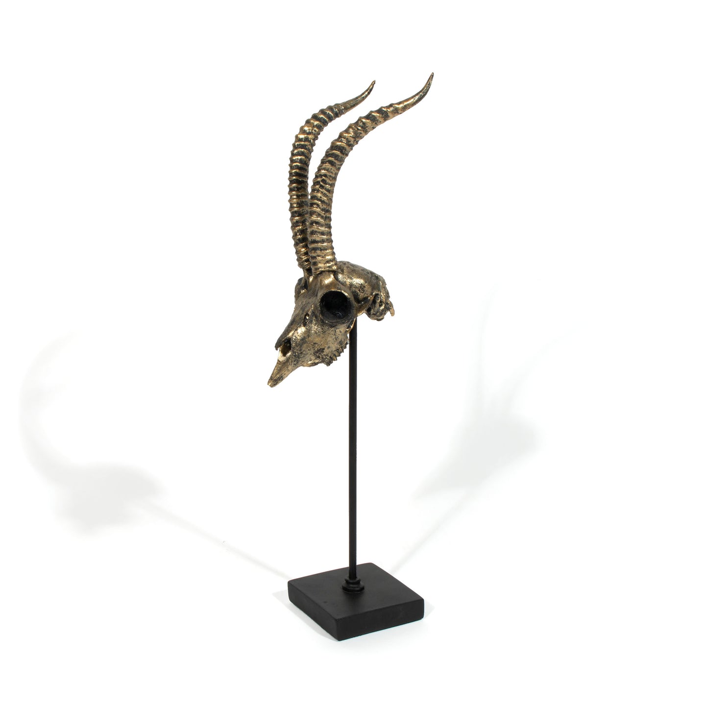 Scull Horn Decor Sculpture