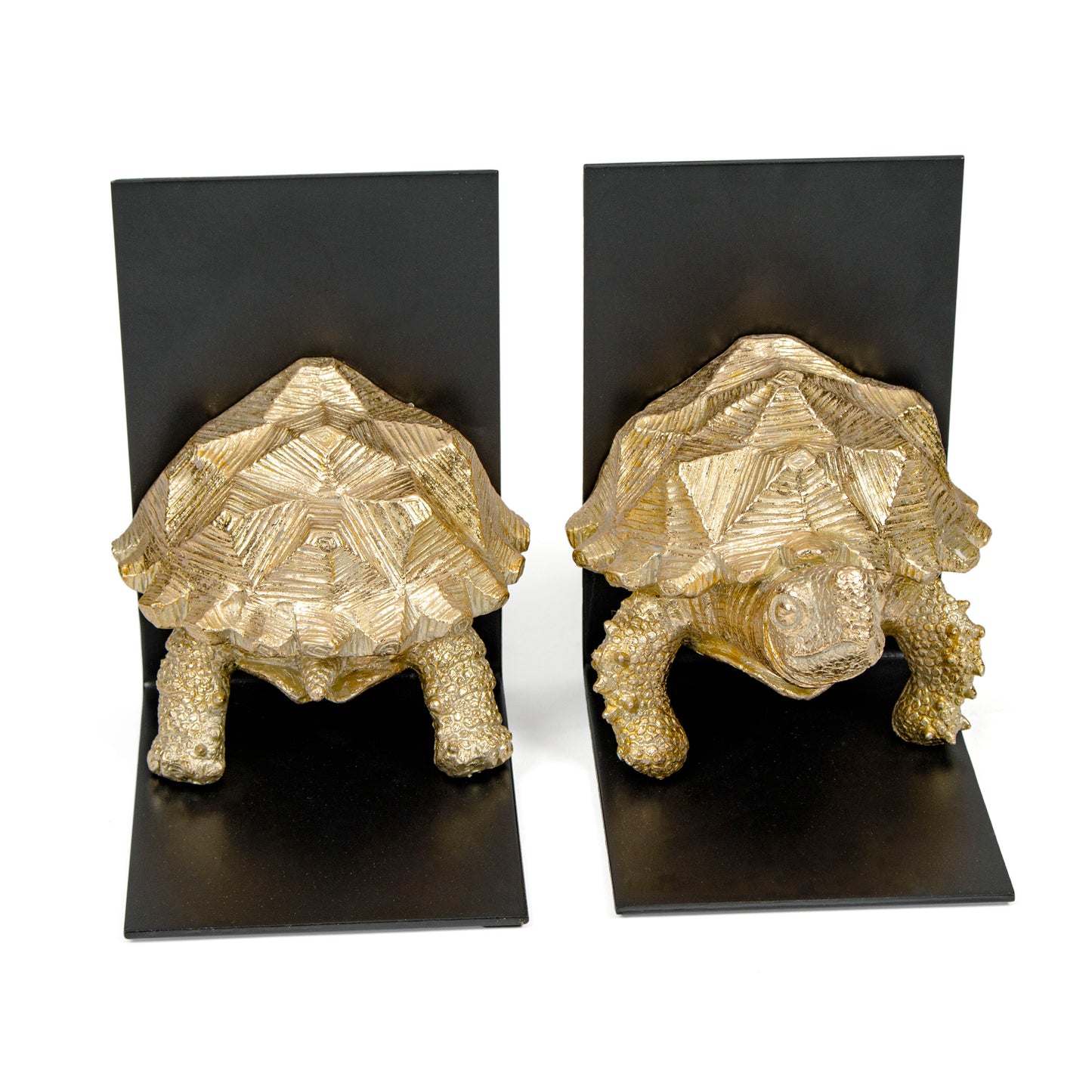 HECTOR, BOOKENDS SET OF 2