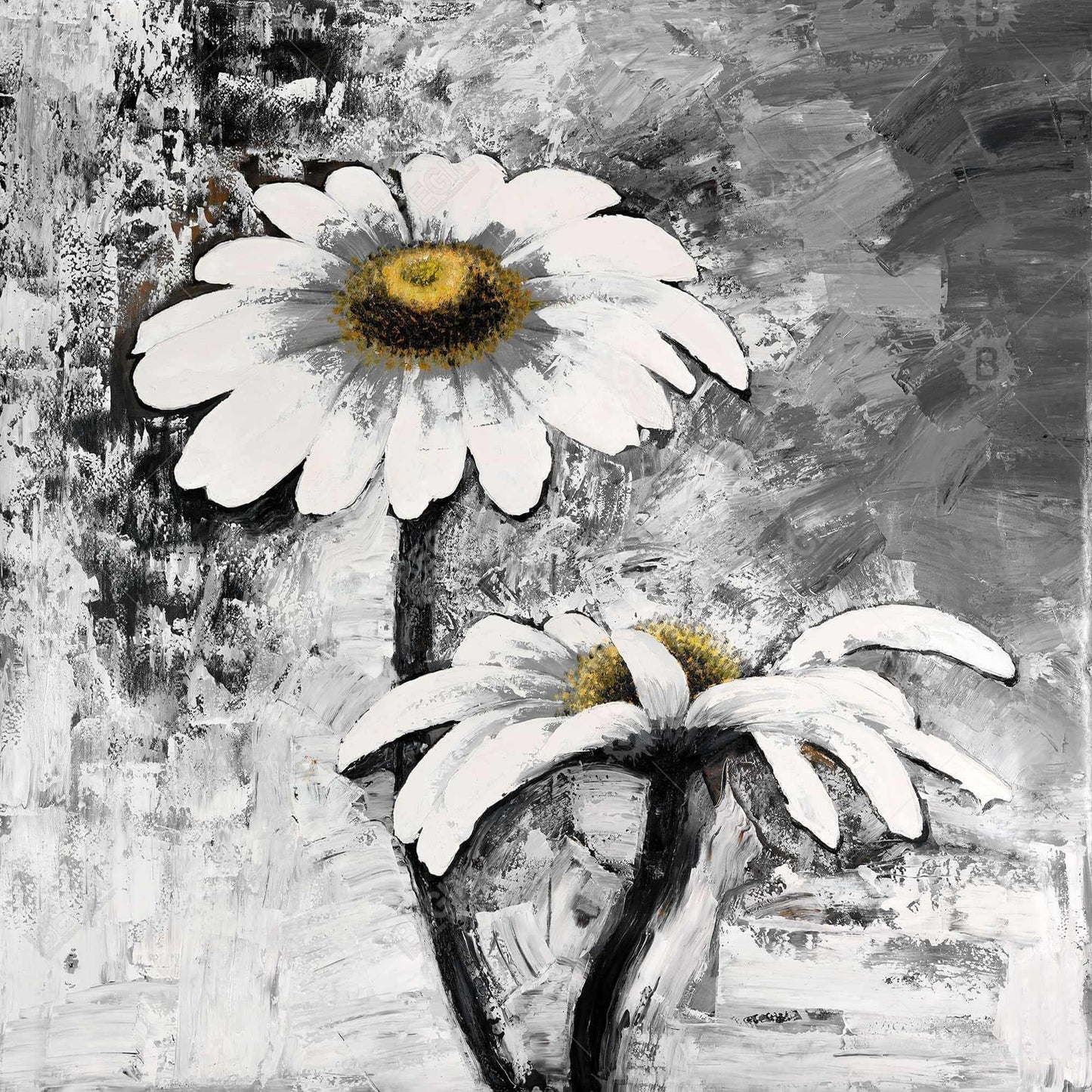 Abstract Daisies Flowers | Framed Print On Canvas 24" X 24"