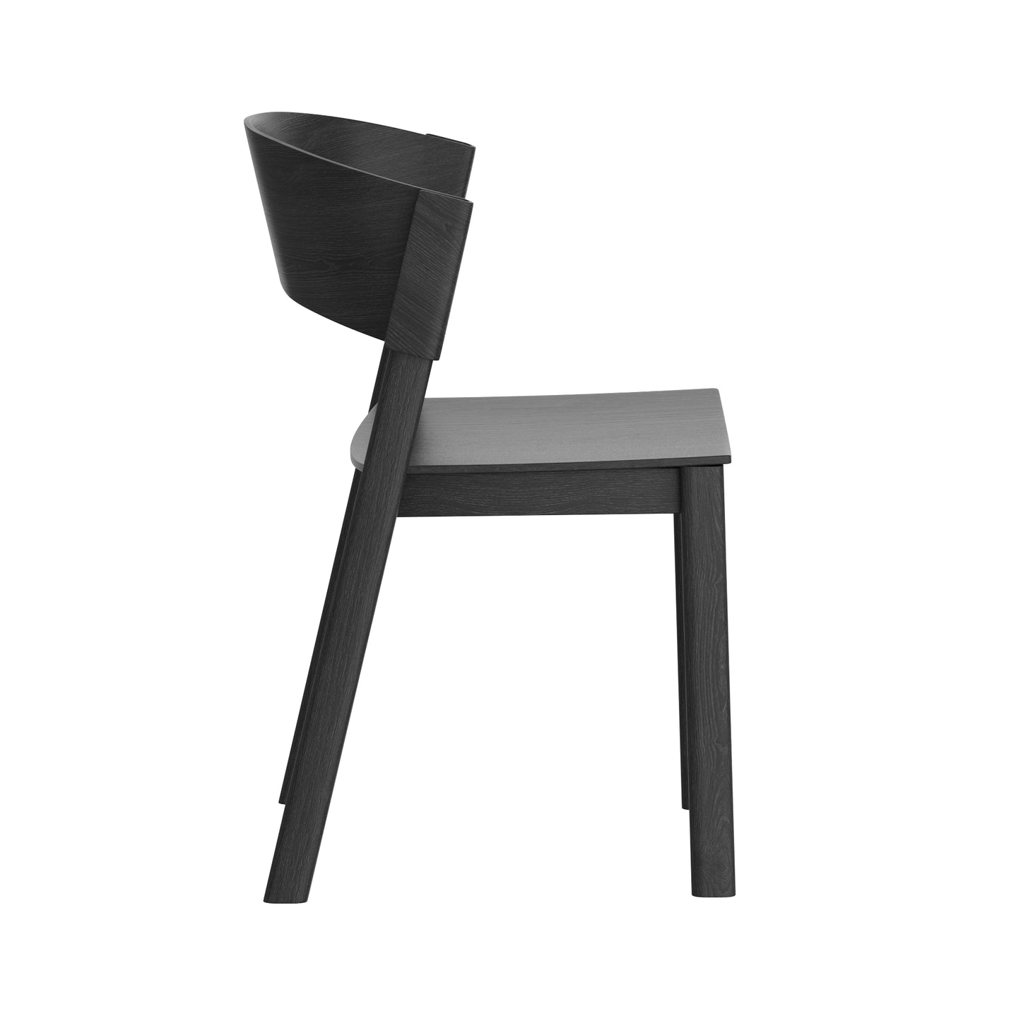 Dining Chair, Set of 2, in Black