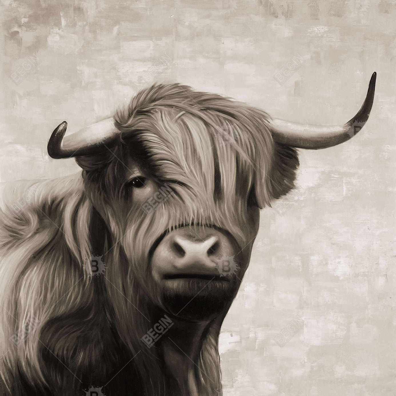 Highland Cattle Sepia | Outside Pillow Cover 16" X 16"