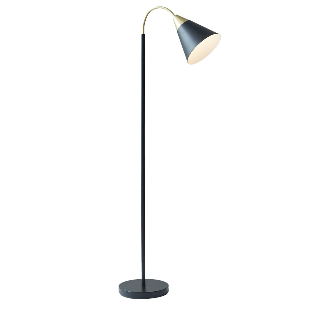 Matte Black Gold Arched Neck Floor Lamp