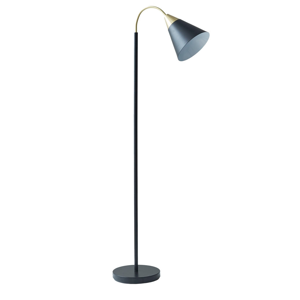 Matte Black Gold Arched Neck Floor Lamp