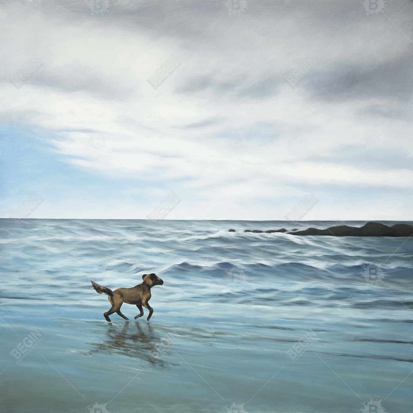 Dog On the Beach | 71" X 74"