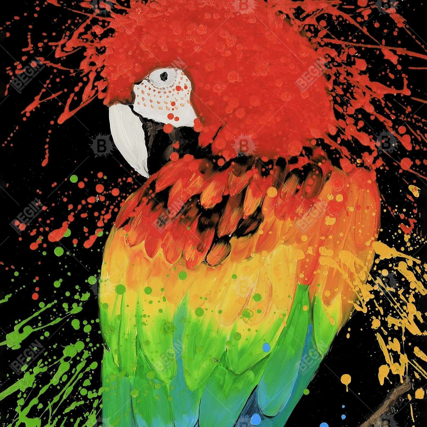 Rainbow Parrot | 71" X 74"