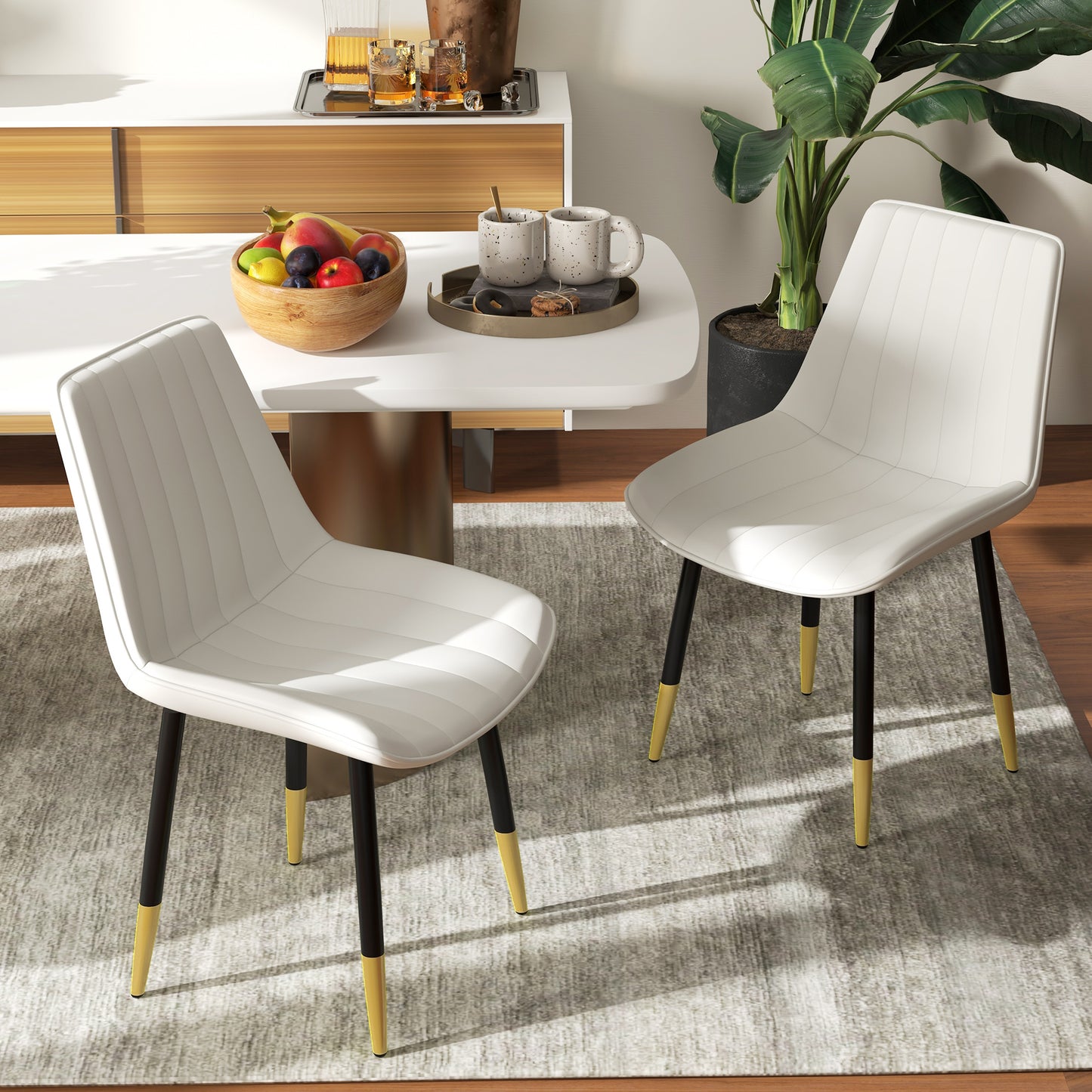 Dining Chairs Set of 2, Modern