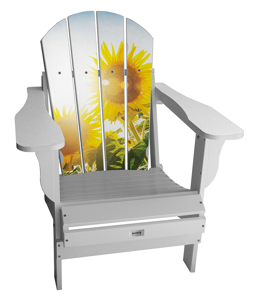 Sun Light Lifestyle Resin Outdoor Chair (2 Colors)