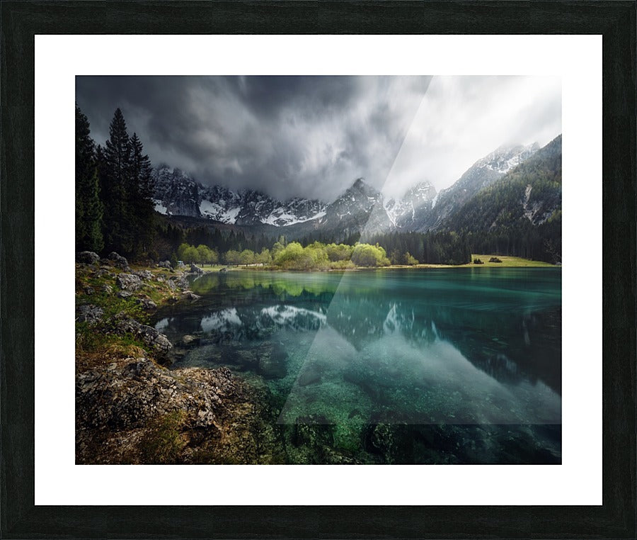 Framed Print