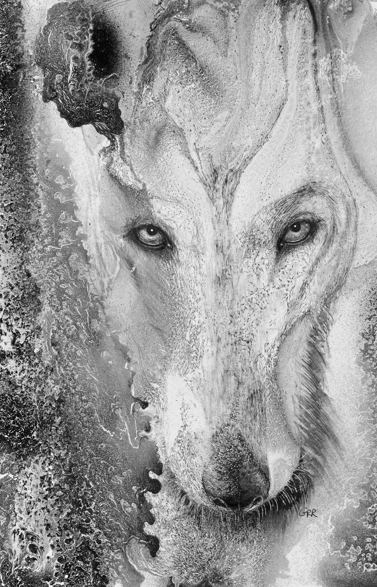 Illustration of a wolf and a mottled background