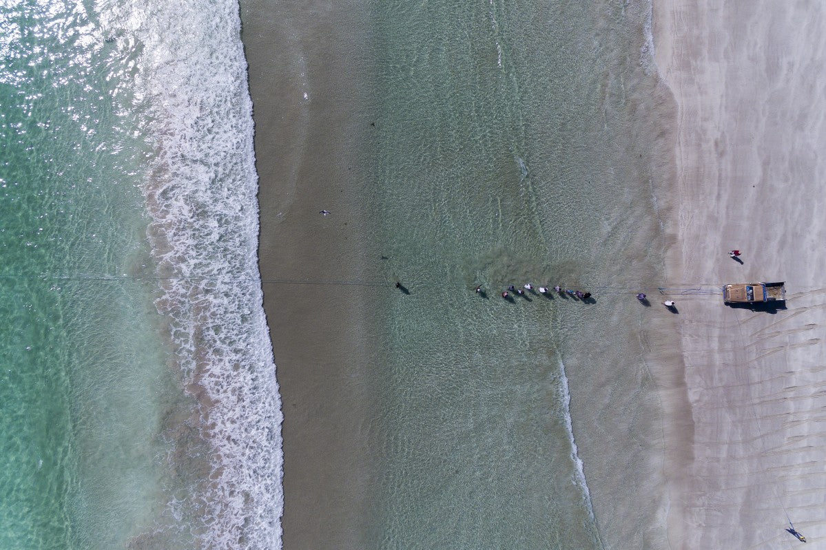 Fisherman from the sky