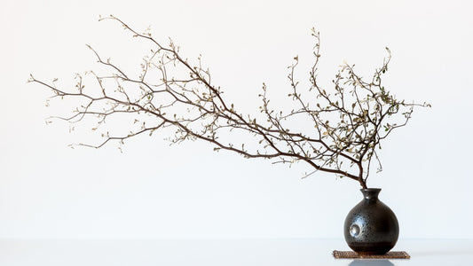 Vase And Branch