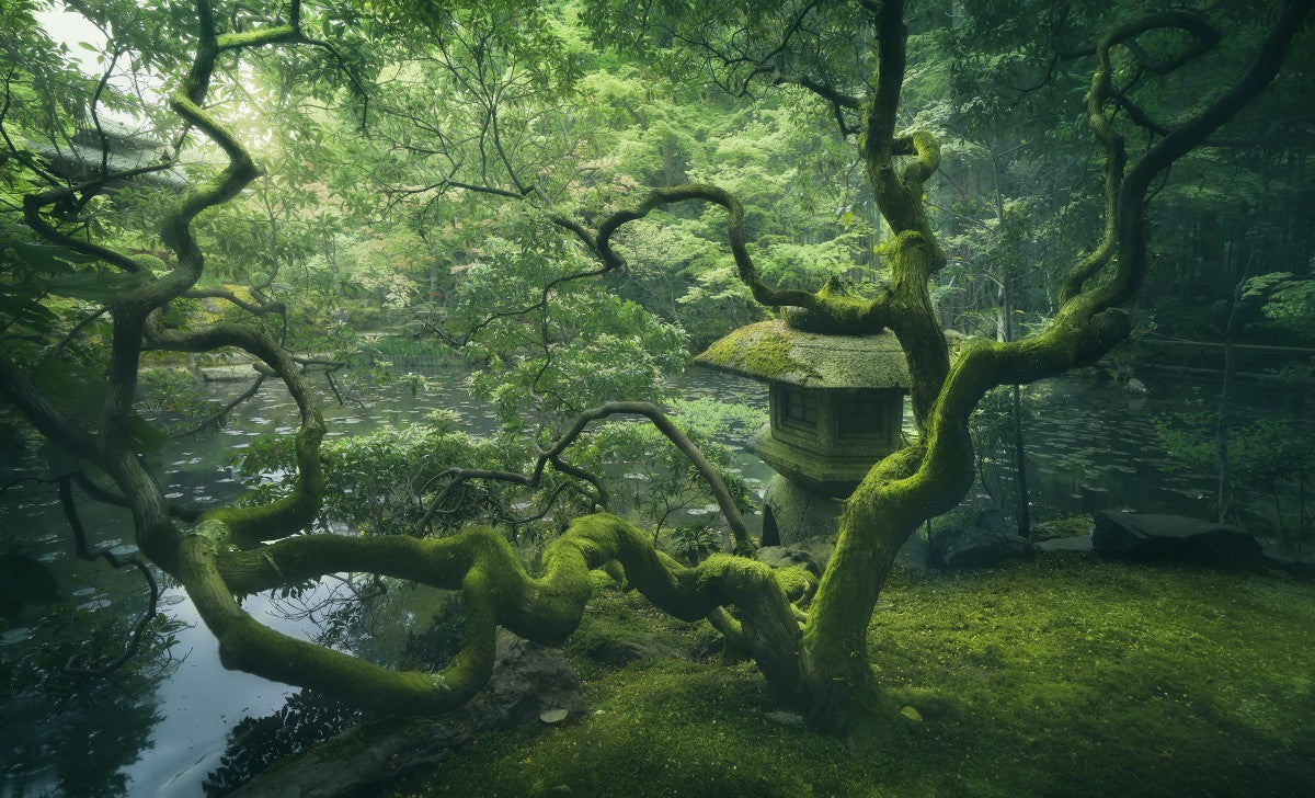 Japanese Tree