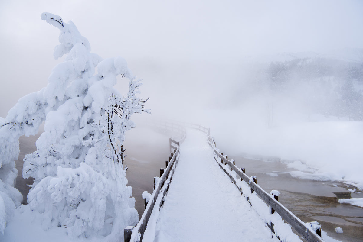 Frozen Walk