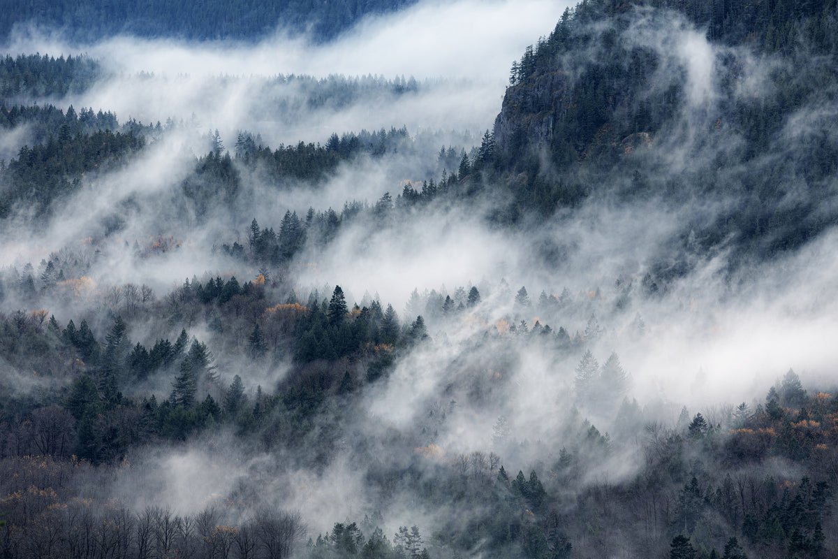 A valley in the fog