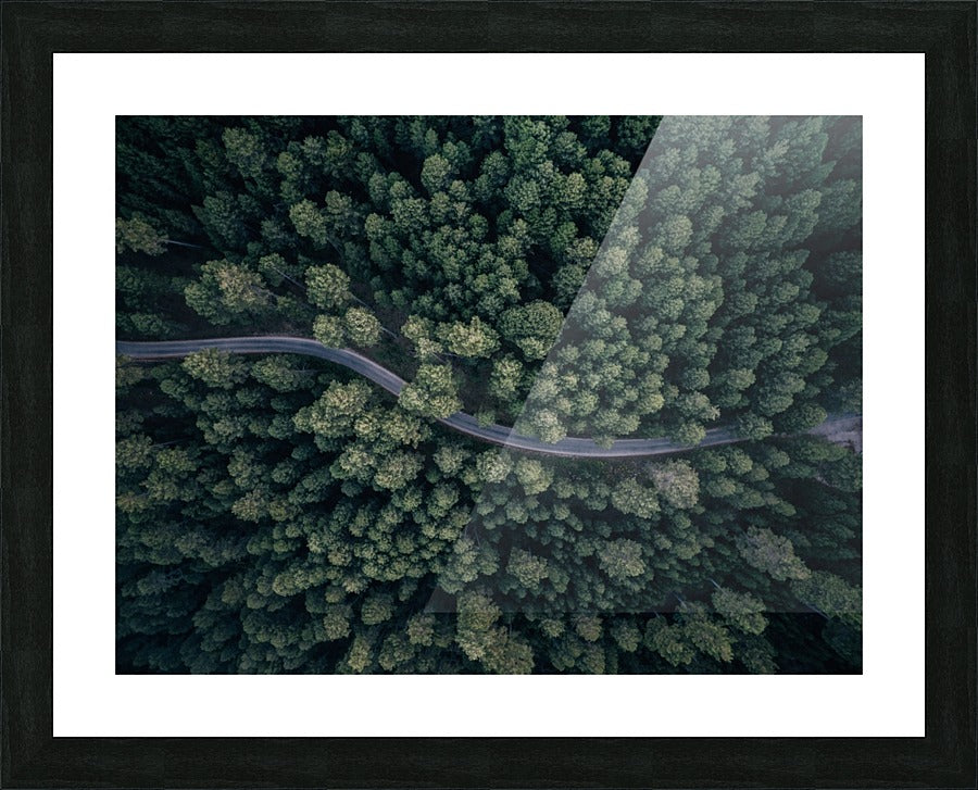 Framed Print