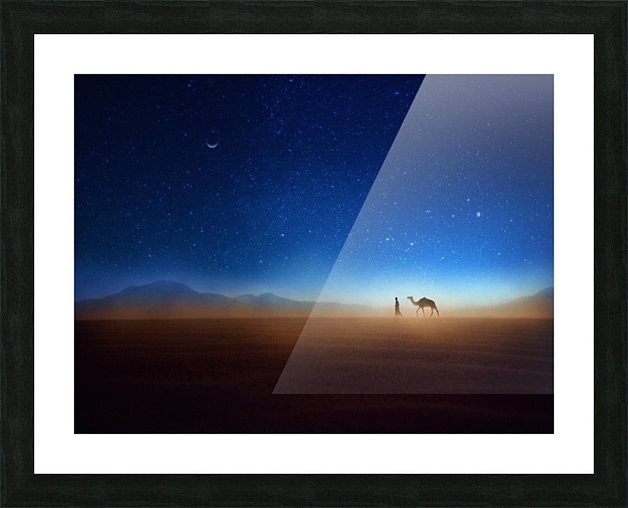 Framed Print