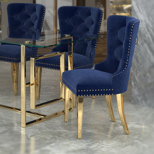 Mizal Side Chair, Set of 2 in Navy and Gold