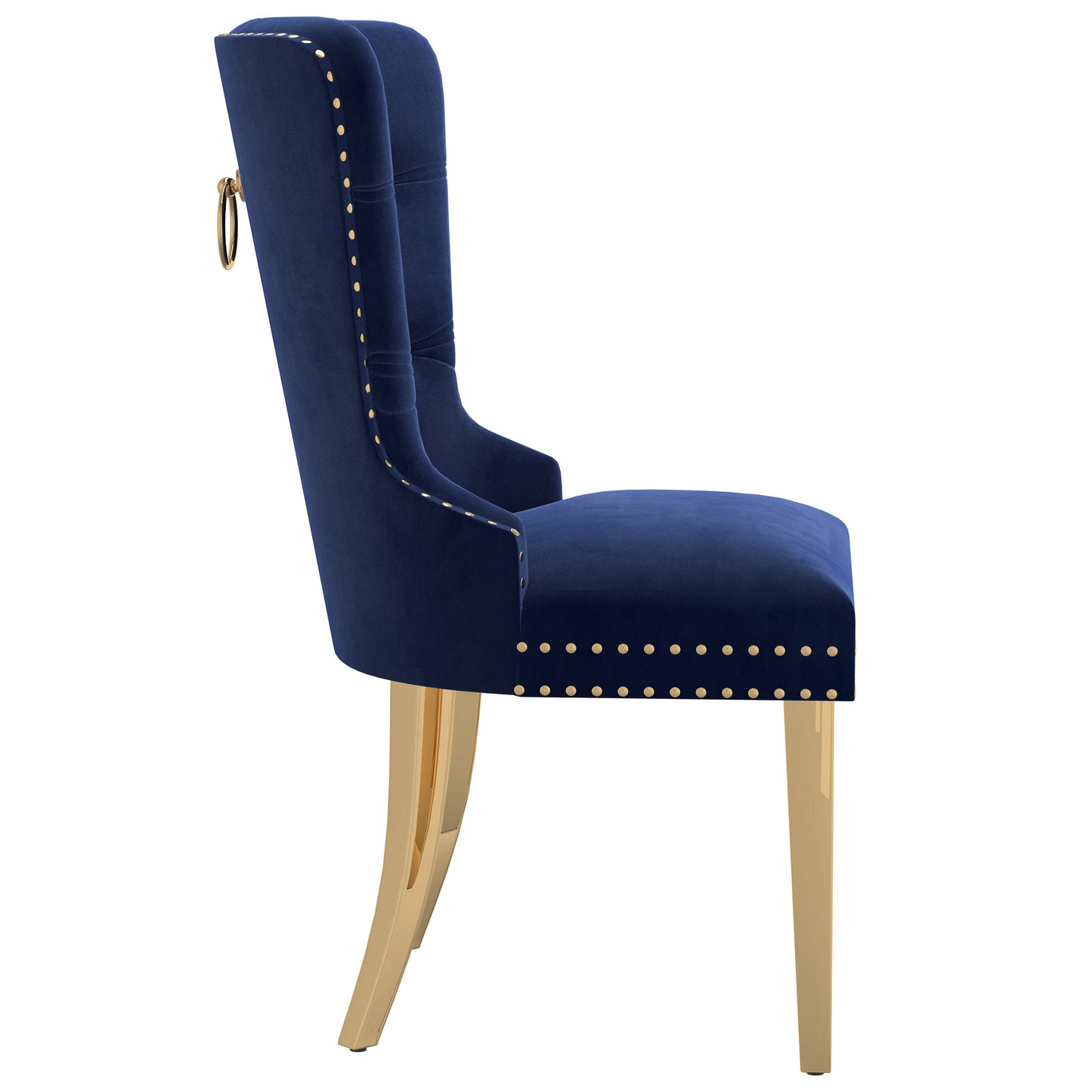 Mizal Side Chair, Set of 2 in Navy and Gold