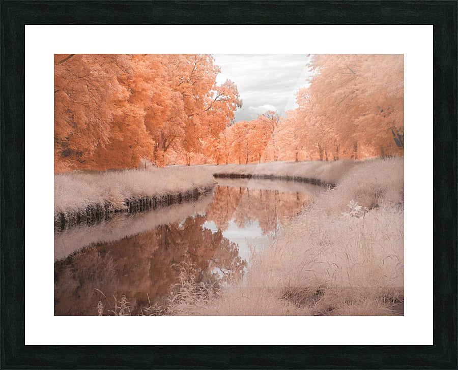 Framed Print