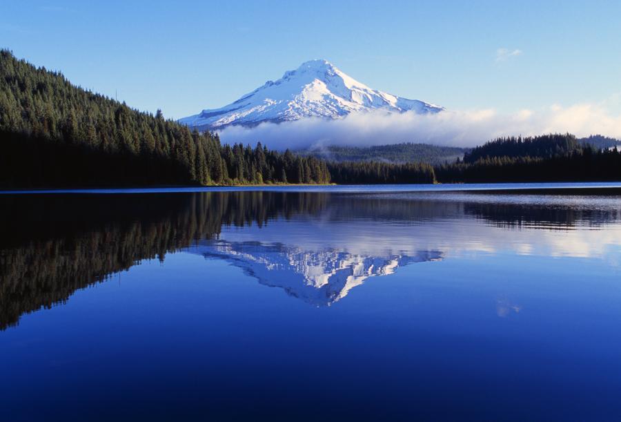 Trillium Lake With Reflection Of Mount Hood, Mount Hood National Forest by PacificStock