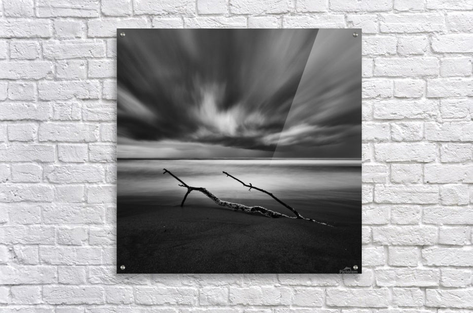 Acrylic Print