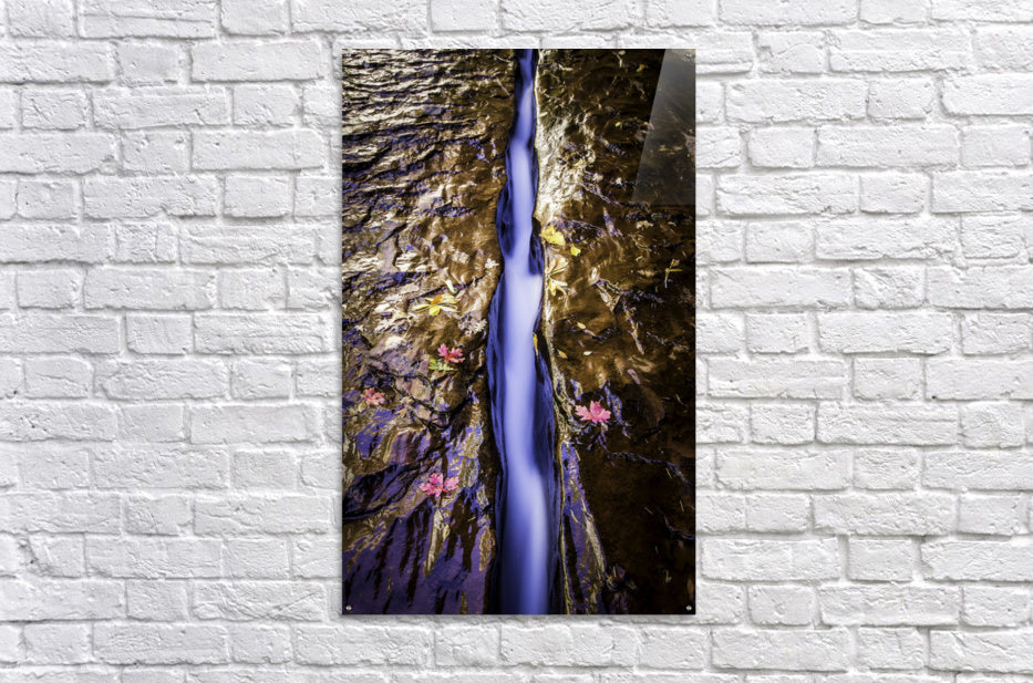 Acrylic Print