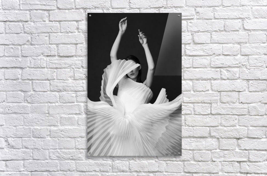 Acrylic Print