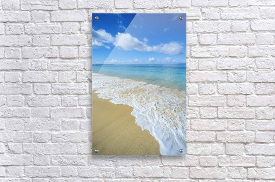 Acrylic Print