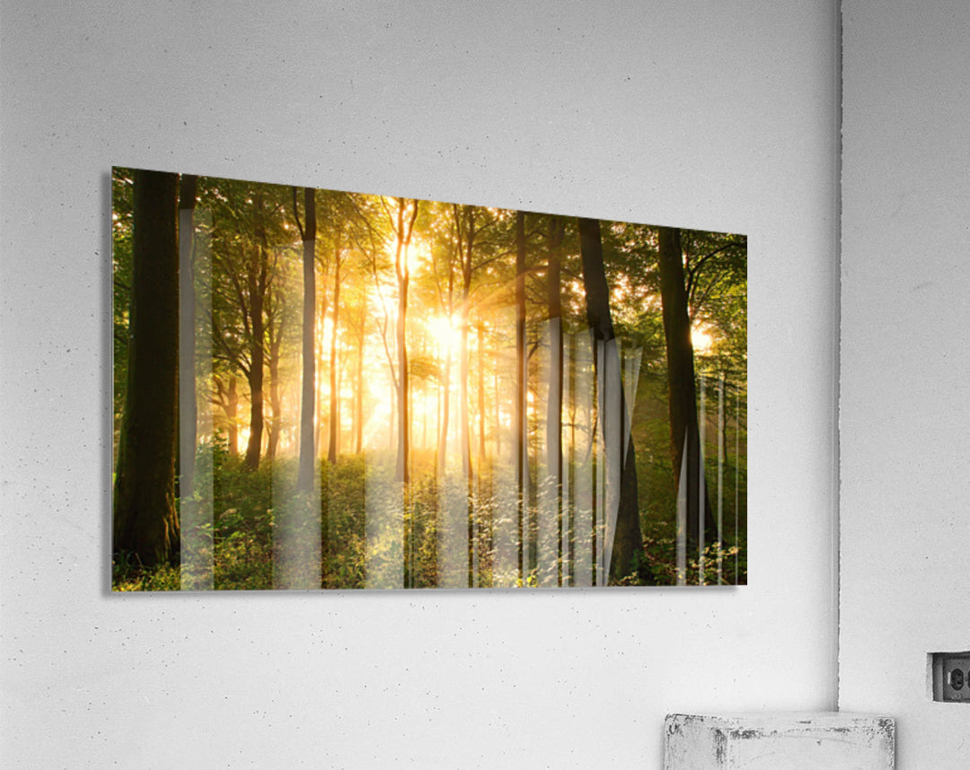 Acrylic Print