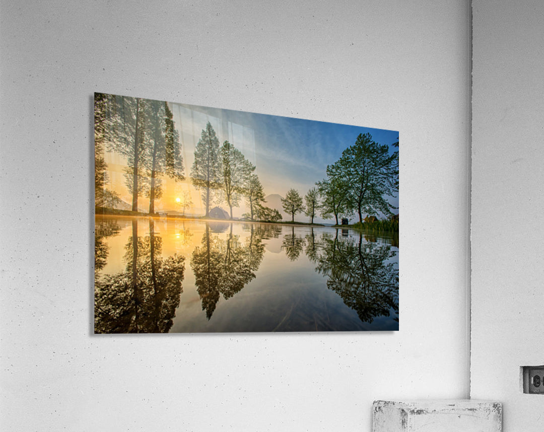 Acrylic Print