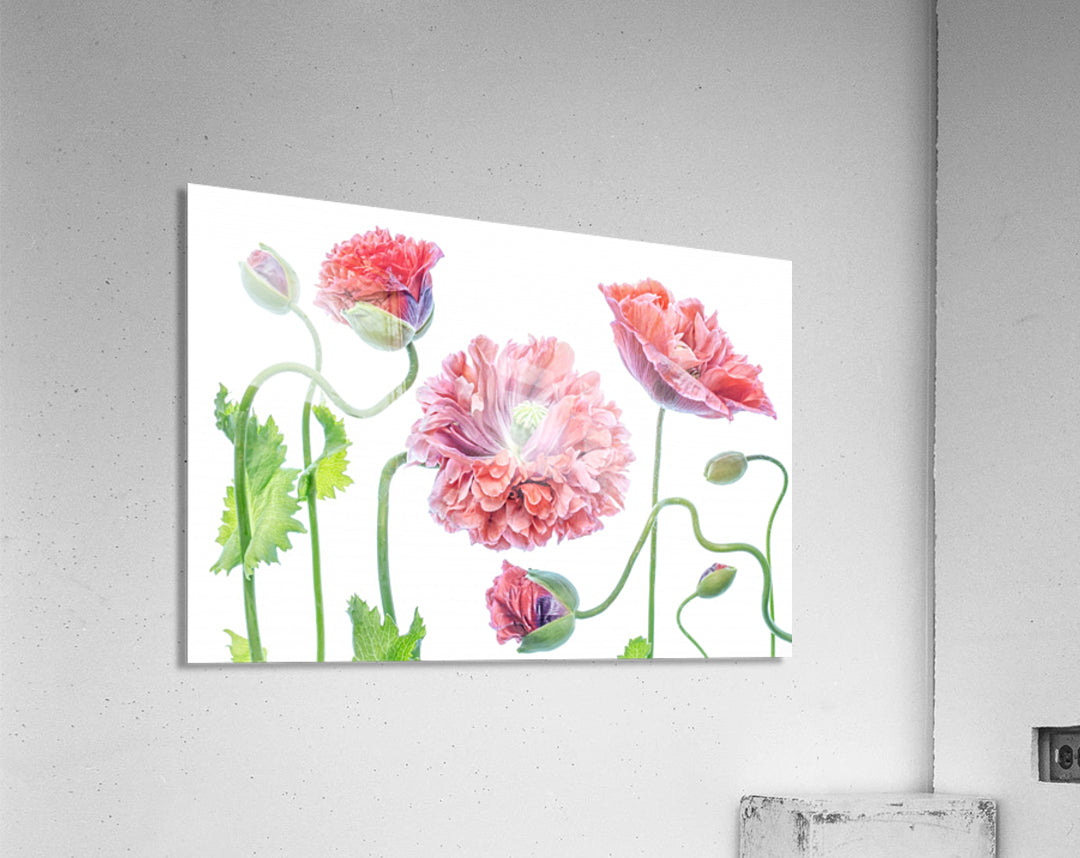 Acrylic Print