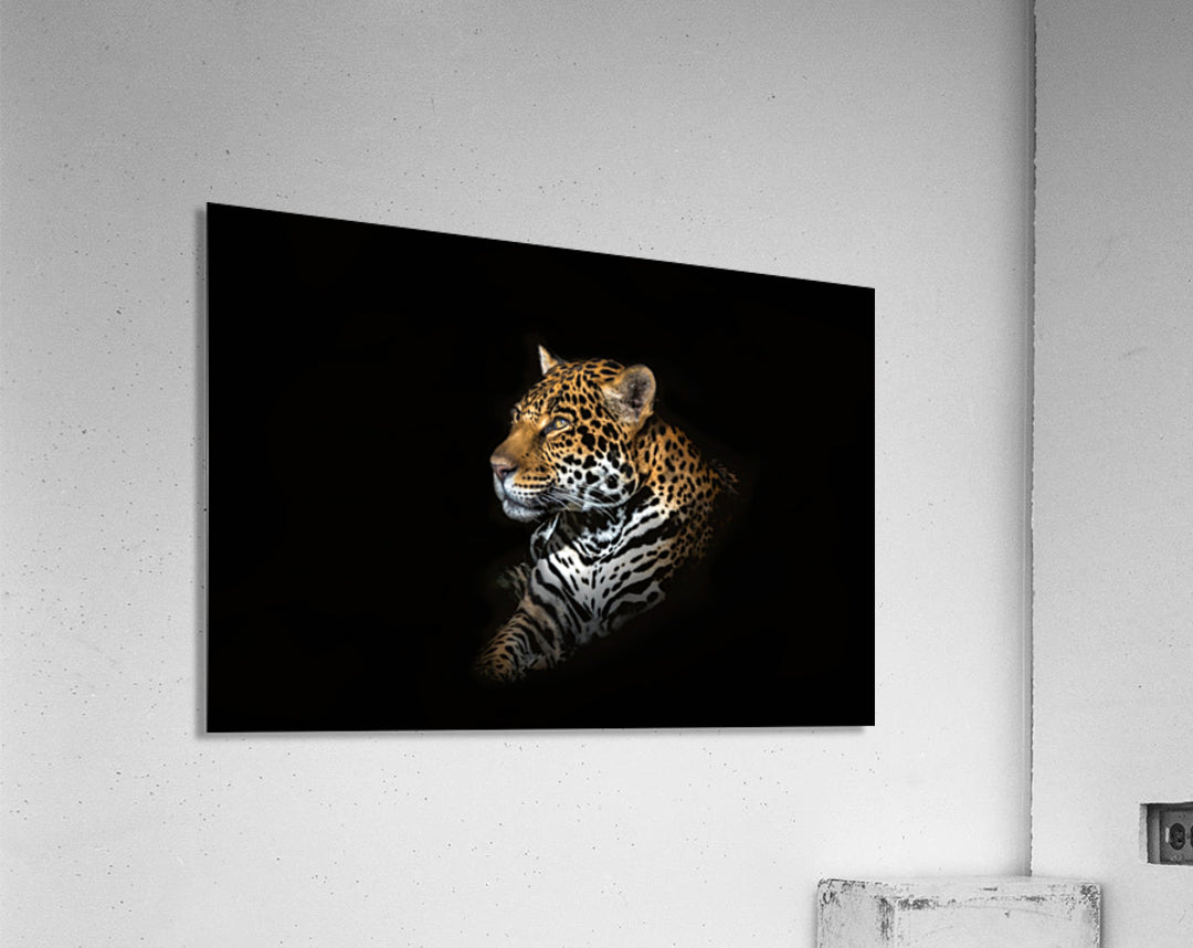 Acrylic Print