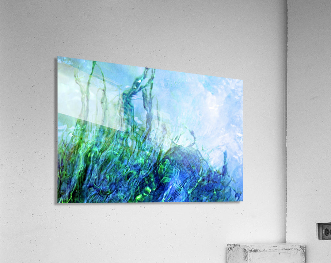 Acrylic Print