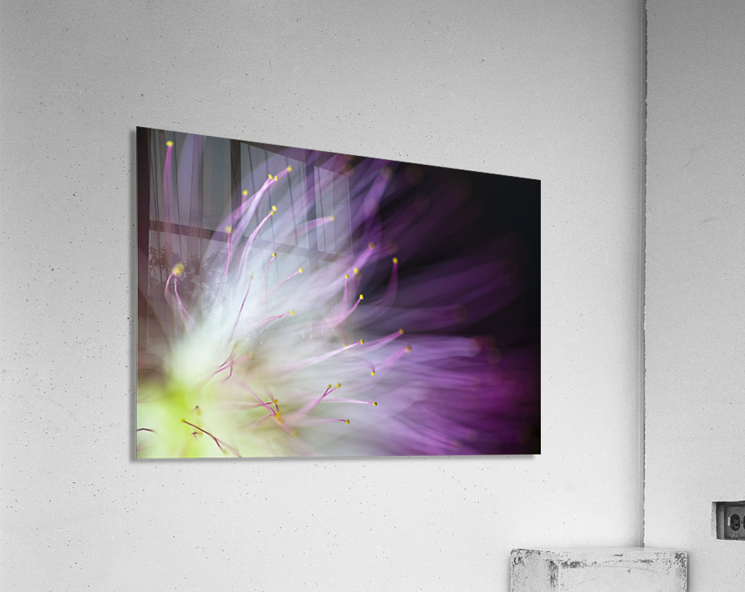 Acrylic Print