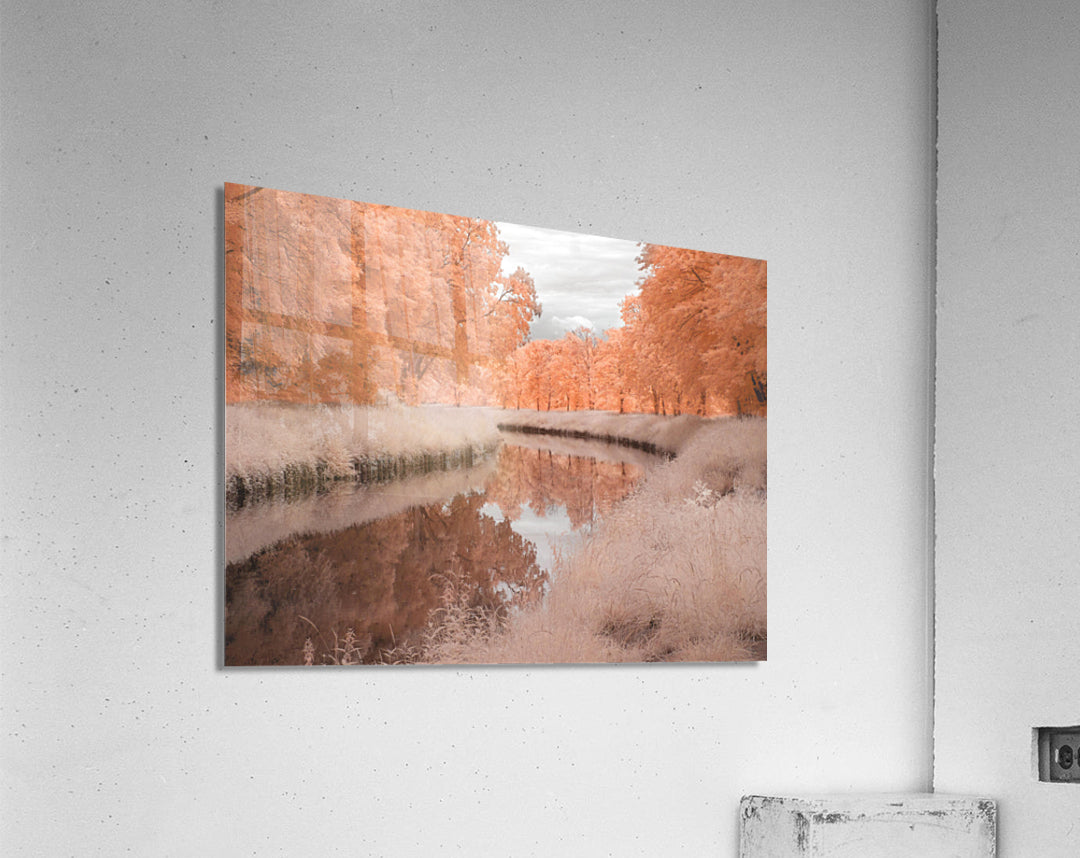 Acrylic Print