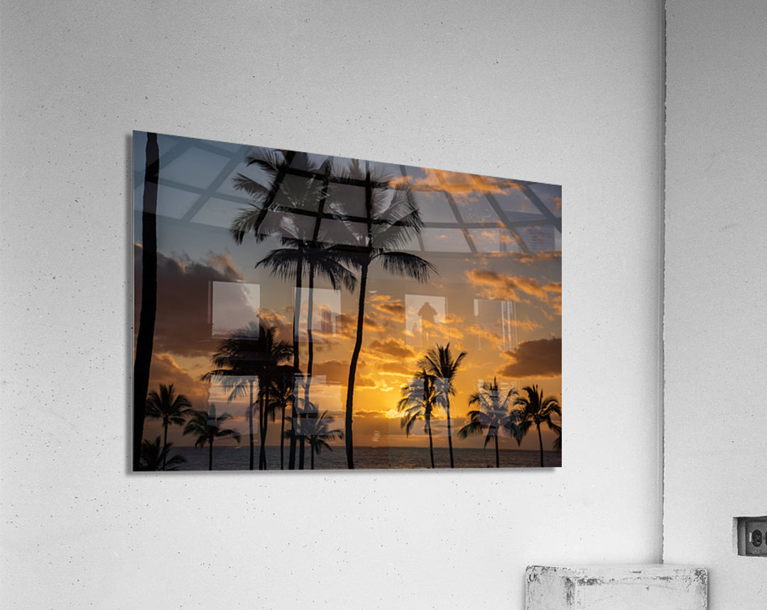 Acrylic Print