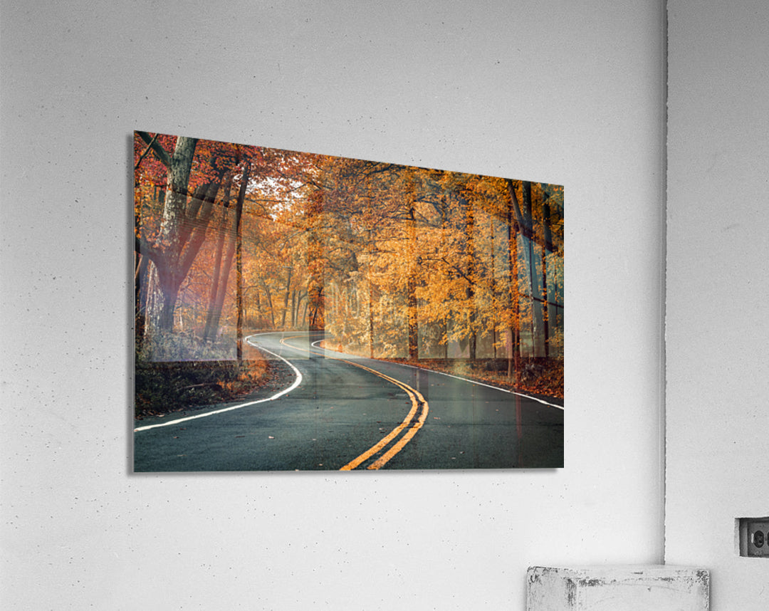 Acrylic Print