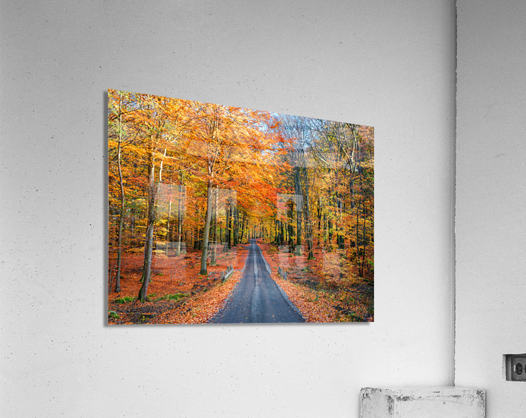 Acrylic Print