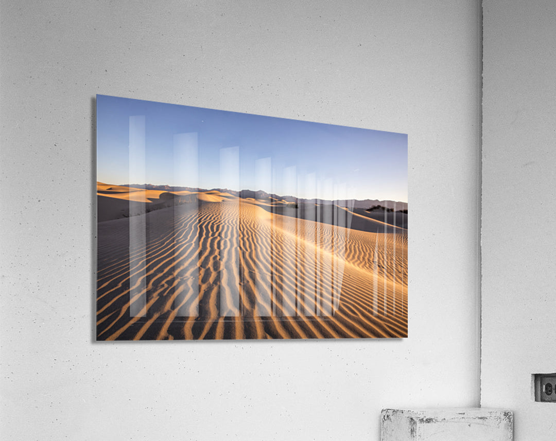 Acrylic Print