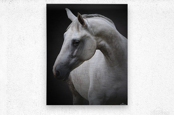 Brushed Metal Print