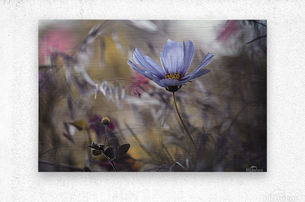 Brushed Metal Print