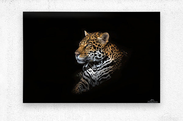 Brushed Metal Print