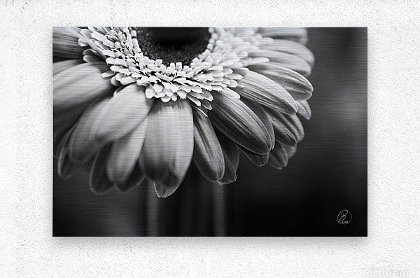 Brushed Metal Print