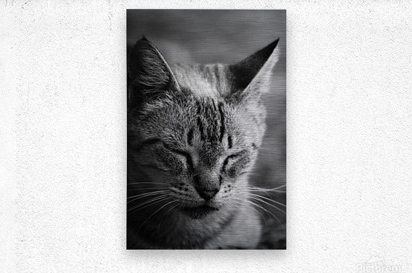 Brushed Metal Print