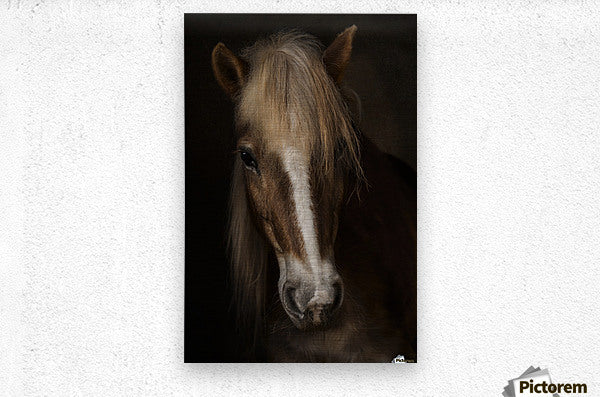 Brushed Metal Print