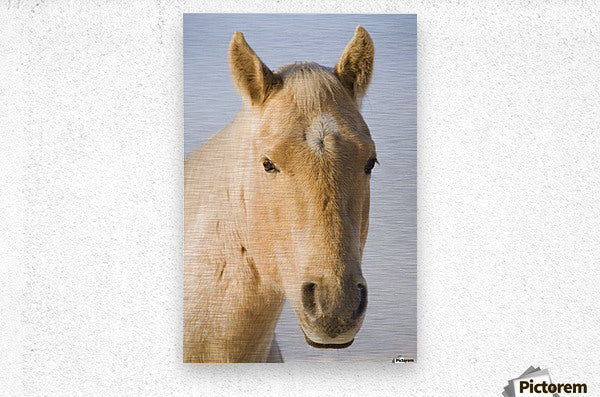 Brushed Metal Print