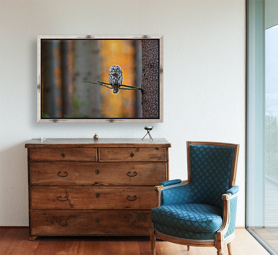 Giclée Stretched Canvas Print