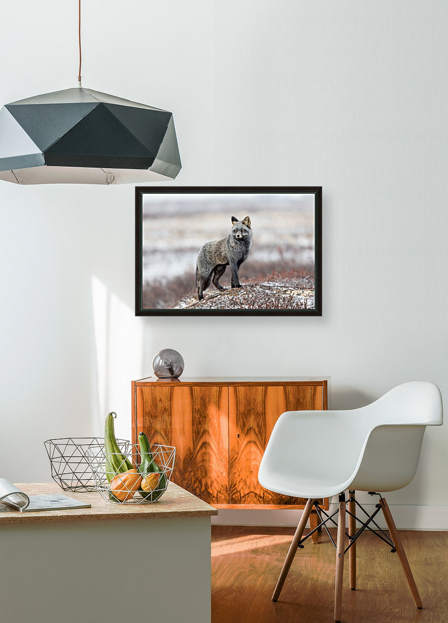 Giclée Stretched Canvas Print